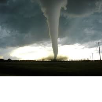 natural disaster survival