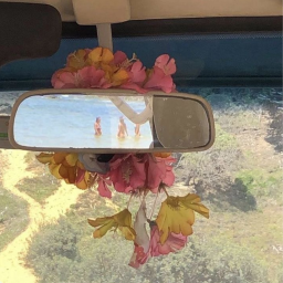 ⋆ ༅˚🌺.࿓•