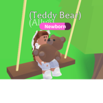 TeddyBearLife