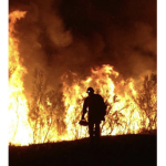 Fire-Men