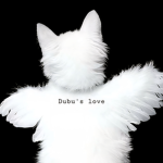 Dubu's love