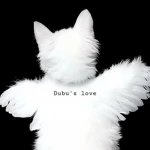 Dubu's love Group Thumbnail