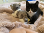 Belle and Chloe
