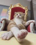 The Kingdom Of Roblox #1