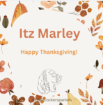 Itz Marley