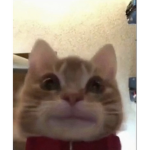 Cheese it….