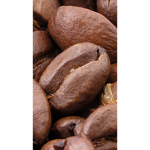 Coffee Bean Group