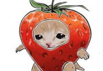 The stupid strawberry