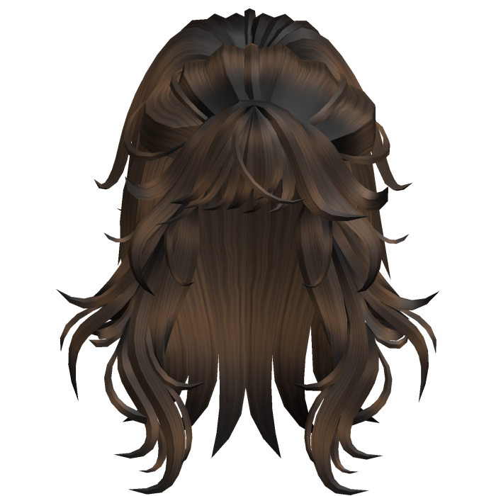 Long Half Up Layered Hair - Brown