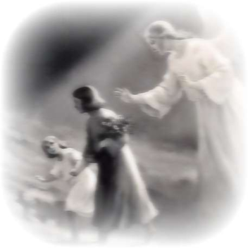 Desolation's Embrace