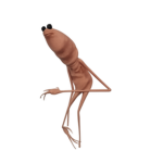 Warm Wormy Worm Warm Wormy Worm Warmy Warm Worm