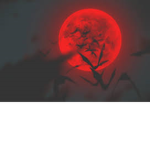 Melting Red Moon