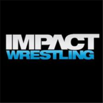 ENW(Extreme,Nonstop,Wrestling)