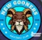 Los Gooners INC