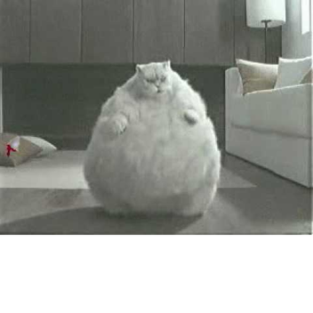 Roblox Unique Transportations Services