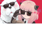 :3 gatos aventureros