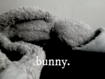 BUNNY* Offical Group