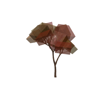 Autumn Tree
