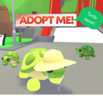 Turtle adopt me squad