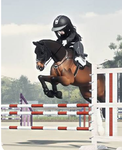 Group 1 eq ride