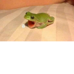 Froggysss
