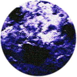 Obby -[NEW]-