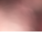 Iewci 2020