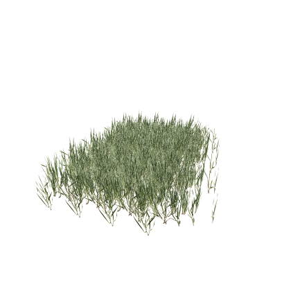 GRASSSSS