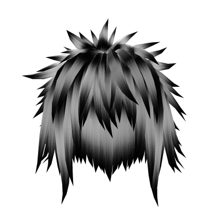 Long Shaggy Spiky Emo Black & White Hair Roblox item
