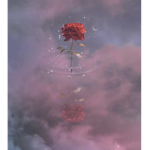 {pink_cow}