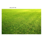 I will eat the turf