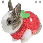 Bunnies only :D