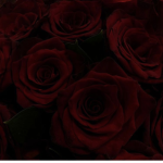 Crimson Curse