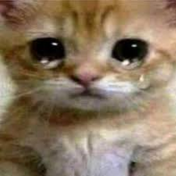 AFK UNTIL SOMEOME 50.000 