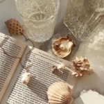 ShellsBoutique