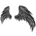 Black & White Disturbed Angel Wings