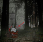 maledetta