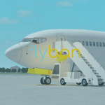 Fly Ban | ROBLOX