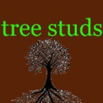 tree studs