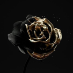 aesithetix-gloxxyrose