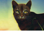 Warrior Cats RP (using wall feature)