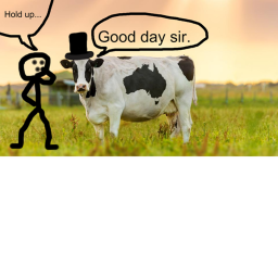 Cows Rule Group Hangout!!