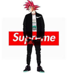supreme sayin race