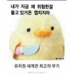 뉴비그루ㅜㅜㅜㅜㅂ