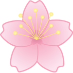 Cherry Blossom High Studios