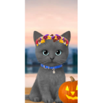 Kitty group for frens and others