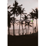 Ines’ Island