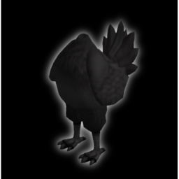 Crow Bundle