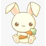 Happy bunny days