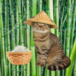Traveler Cat